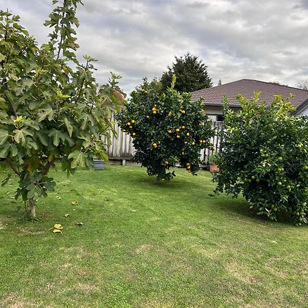 Matamata Villa Eksteriør bilde